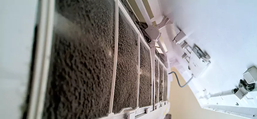 Preventive Air Duct Bacteria Removal in Van Buren