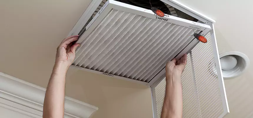Preventive Cockroach-Proofing for Ducts in Van Buren