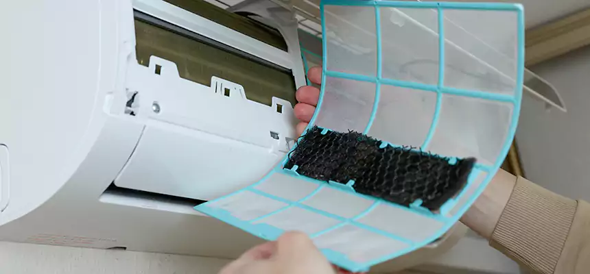 Gentle Ductwork Odor-Control Pet Dander Duct Cleaning in Van Buren, AR