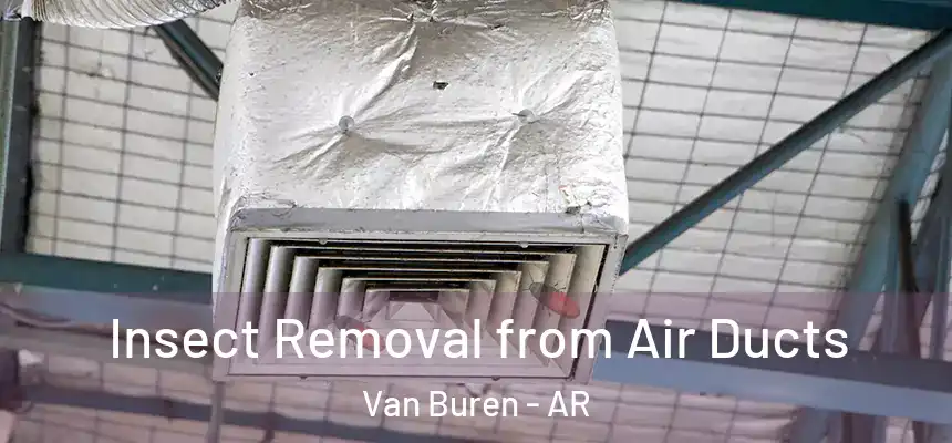 Insect Removal from Air Ducts Van Buren - AR