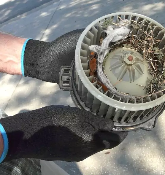 About Air Duct Mice Removal in Van Buren, AR