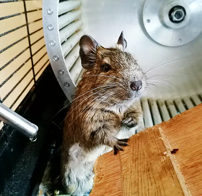 Why Homeowners & Businesses Trust Us Van Buren, AR