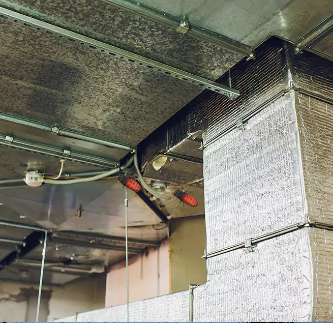 Why Homeowners & Businesses Trust Us Van Buren, AR?